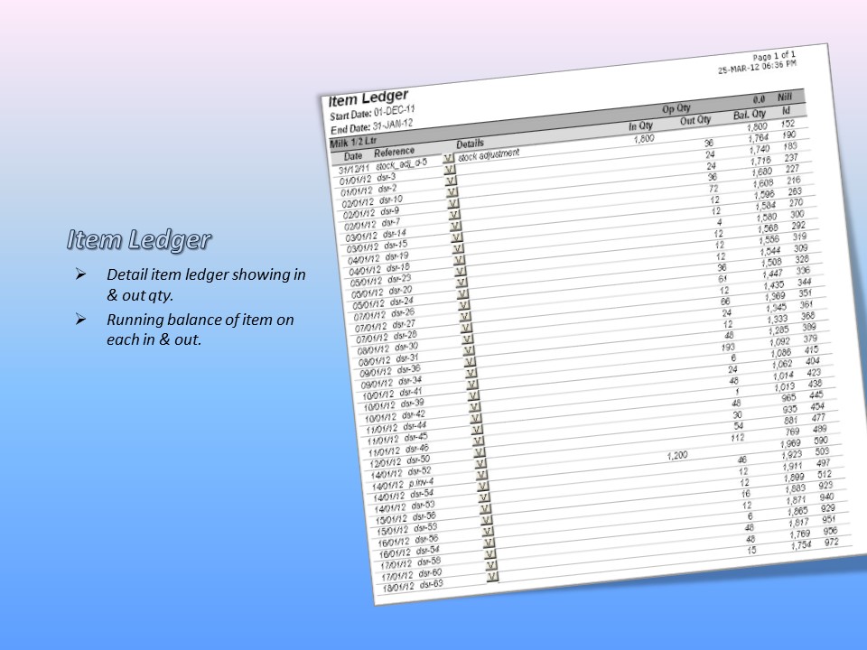 Item Ledger Report