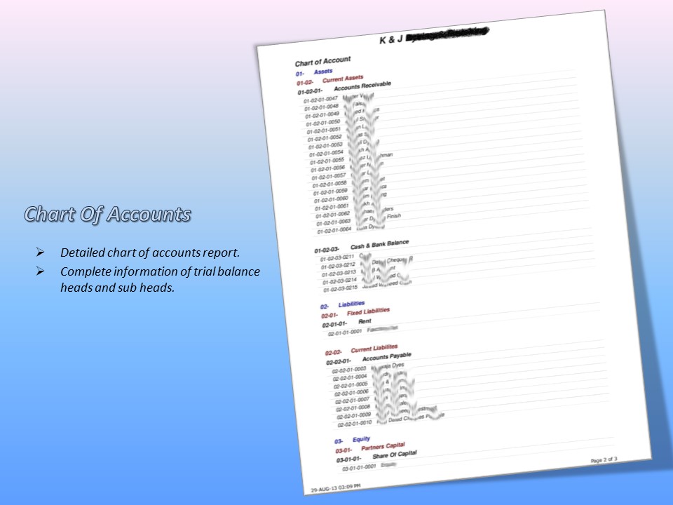 Chart Of Accounts Report