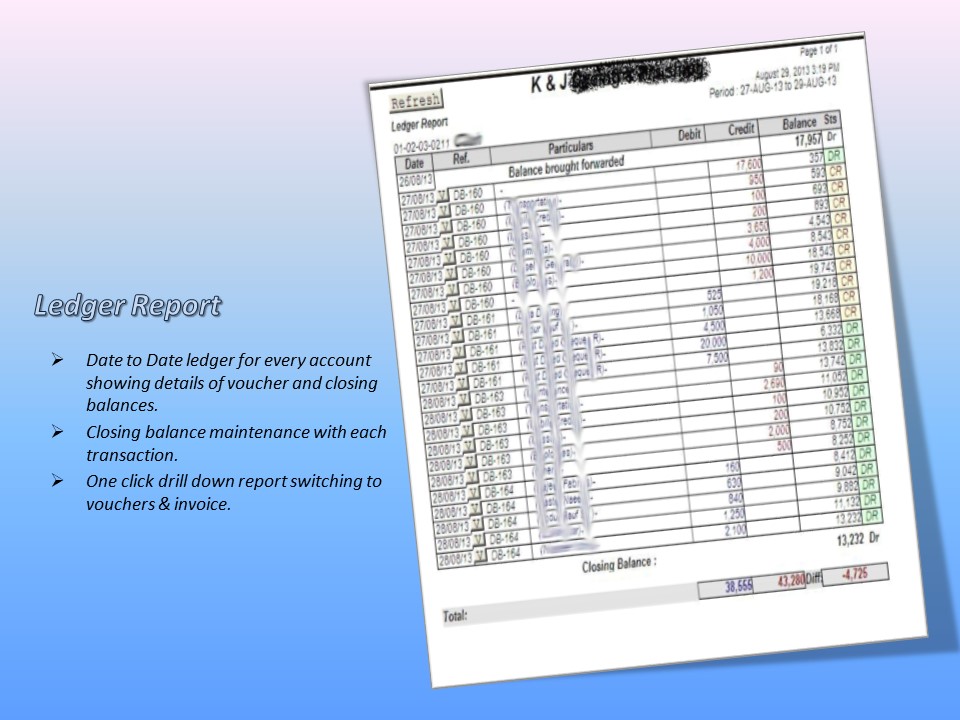 Ledger Statement Report