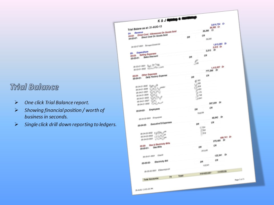 Trial Balance Us Report
