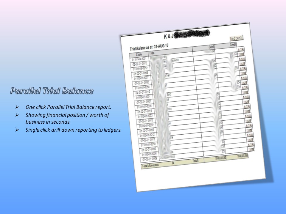 Trial Balance Uk Report